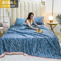 天丝空调被夏凉被单人春秋被双人被子夏天薄被可水洗冰丝夏被 三维工匠
