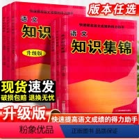 语文[全国通用] 小学通用 [正版]地区任选小学语文知识集锦全国人教部版编江苏湖南山西陕西广东小升初总复习资料一二三四五