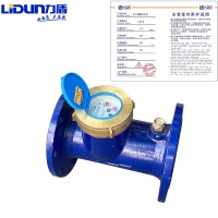 力盾 水平螺翼式水表 LXS-E DN125 只