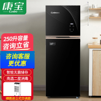 康宝(Canbo)XDZ250-DS 商用立式大容量饭店消毒柜家用厨房碗柜实体店同款无菌储存二星级酒杯保洁柜智能触屏按键