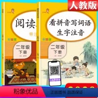 [正版]小学生二年级下册语文阅读理解+看拼音写词语生字注音 2021新版 小学2年级语文同步专项训练练习册人教版看图说