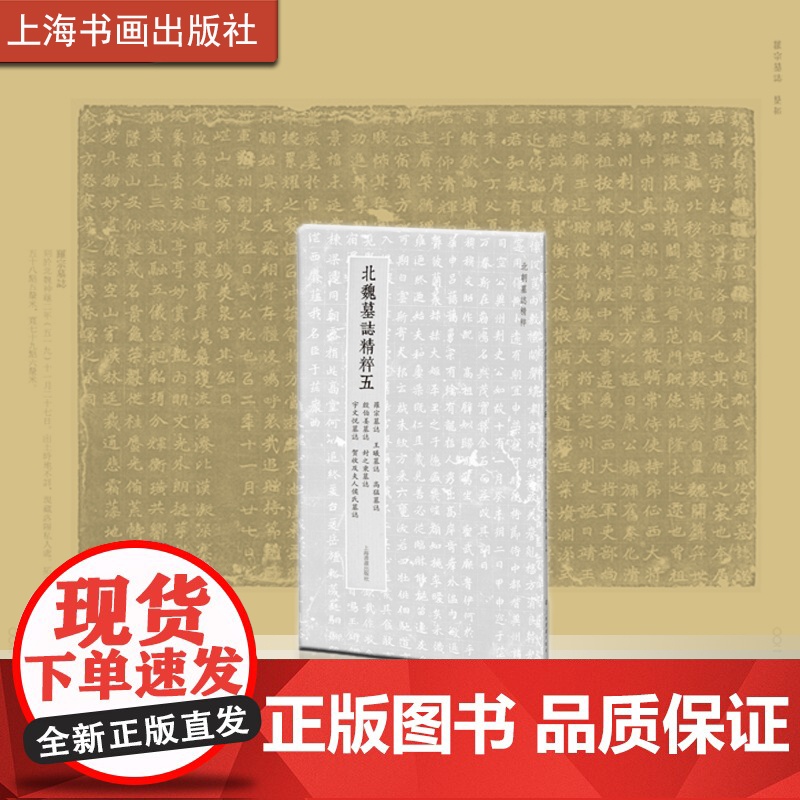 北魏墓志精粹五罗宗墓志王曦墓志高猛墓志殷伯姜墓志封之秉墓志宇文悦墓志贺收及夫人侯氏墓志 上海书画出版社