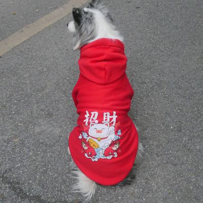 红色阿拉斯加犬