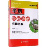 正版新书]羊病快速诊治实操图解王凤龙9787109235878