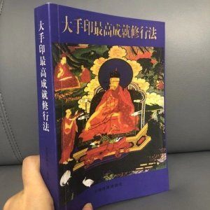 《大手印高成就修行法》 大宝法王