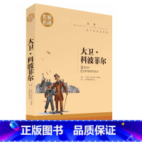 [正版]3本15元 名家名译文学-大卫 科波菲尔 中小学生课外阅读书籍 外国文学小说书籍 艾米莉勃朗特cs