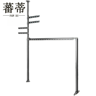 蕃蒂
