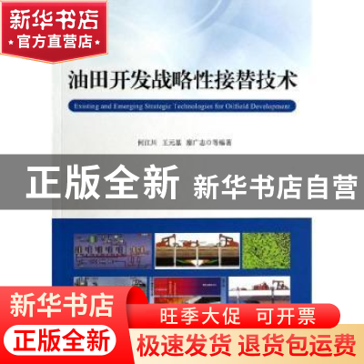 正版 油田开发战略性接替技术 何江川,王元基,廖广志等编著 石