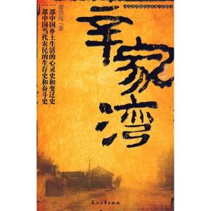 正版新书]《辛家湾》翟岱海9787807557227