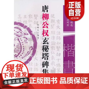 [正版]唐柳公权玄秘塔碑集联名家碑帖精选古今书法对照胡梅生编著黑龙江美术出版社9787207086785 正版书籍