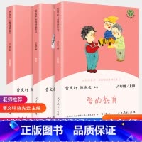 六年级上册3本全套 [正版]快乐读书吧六年级上册全套曹文轩人教版童年小英雄雨来爱的教育 人民教育出版社 小学生语文必读课