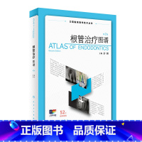 [正版]根管治疗图谱 第二版彭彬牙科正畸种植基础知识失败的真实原因一步一步做好医学儿童修复牙周病学专业人民卫生出版社口