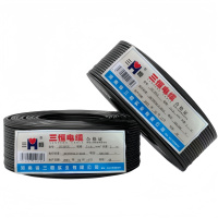 三恒 多芯软线ZC-RVV 2×6mm² 米