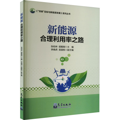 正版新书]新能源合理利用率之路张柏林,胡殿刚9787502977450