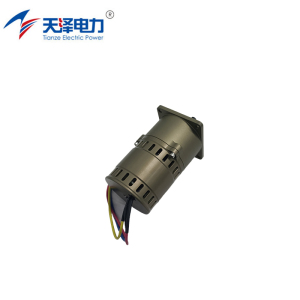 天泽电力 电机总成 5.23.10102.600 台