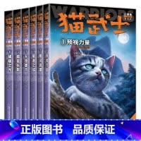 猫武士三部曲[全6册] [正版]任选猫武士全套39册 猫武士首部曲一部曲二部曲三部曲四部曲五部曲六部曲七部曲