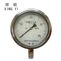 祥屹 耐震压力表定制检测款 YN150 压力值备注 块