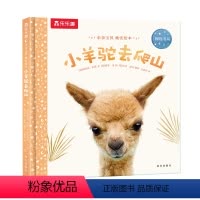 小羊驼去爬山 [正版]F甜甜圈粉丝专享 绘本0-3岁睡前早教书籍幼儿1-2-6岁宝宝幼儿园学前亲亲宝贝小兔子爱冒险儿童阅