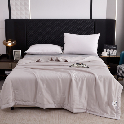 汉司家纺 150*200cm 天丝柔软丝滑水洗夏被空调被 1.00 件/条(计价单位:条)米灰