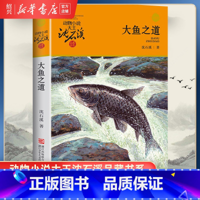 [正版]书店大鱼之道 升级版 动物小说大王沈石溪品藏书系 小学三四五六年级课外阅读书籍动物小说 浙江少年儿童出版社