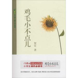 鸡毛小不点儿