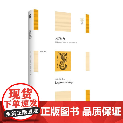 美学权力 巴尔迪纳·圣吉宏 著 哲学