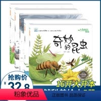 [正版]小果树科学探索绘本全5册 奇妙的昆虫 石头的故事 神奇的植物 风是怎样形成的 小水滴历险记 儿童书籍睡前故事儿