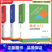 全套(3本) 高中通用 [正版]数论入门从故事到理论平面几何的知识与问题代数的魅力与技巧 中学数学概念与理论 重点知识点