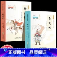 全2册 岳飞传+杨家将 [正版]全24册 中国国学经典藏书儒家经典全集图书注无障碍阅读中华传统文化读本中华国学经典名著藏