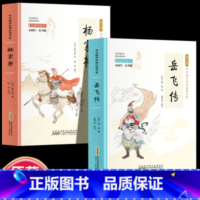 全2册 岳飞传+杨家将 [正版]全24册 中国国学经典藏书儒家经典全集图书注无障碍阅读中华传统文化读本中华国学经典名著藏