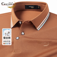 鳄鱼恤CROCODILE 短袖polo衫条纹提花撞色翻领上衣男