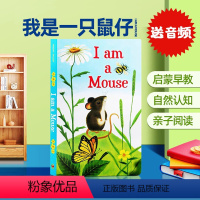 [正版]英文原版绘本 I am a Mouse 我是一只鼠仔 幼儿童英语启蒙早教读本 I am a bunny 我是一