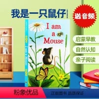 [正版]英文原版绘本 I am a Mouse 我是一只鼠仔 幼儿童英语启蒙早教读本 I am a bunny 我是一