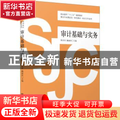 正版 审计基础与实务 陈苗苗,赖丽珍主编 立信会计出版社 978754
