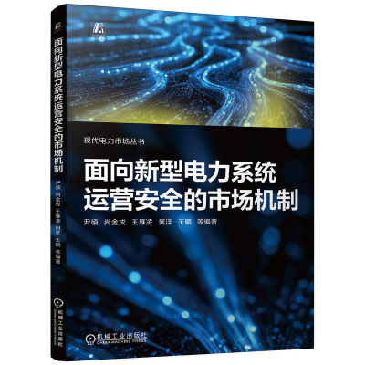 正版新书]面向新型电力系统运营安全的市场机制尹硕 尚金成 王