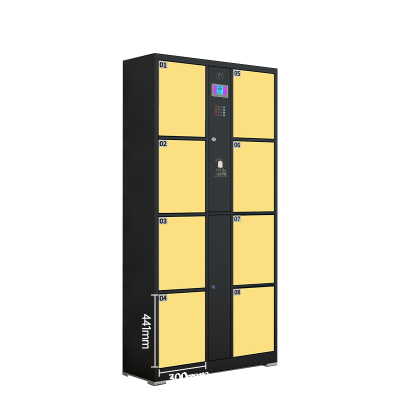 菲尔阿扎 PHIL ARZA 存包柜 指纹柜8门/台