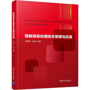 正版新书]智能信息处理技术原理与应用蒋海峰,王宝华 著97873025
