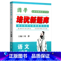 语文竞赛题库 小学五年级 [正版]国学培优新题库 语文 5年级语文竞赛题库上下册通用语文综合知识素质教育大全小学生五年级