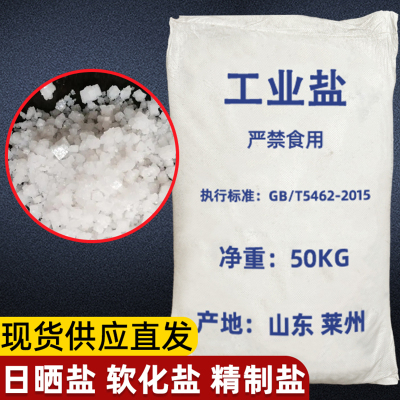 嘉伈 工业盐 融雪盐 25kg 袋