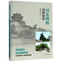 正版新书]河北邯郸古树名木(精)张顺桥|摄影:王运良//尹振海//周