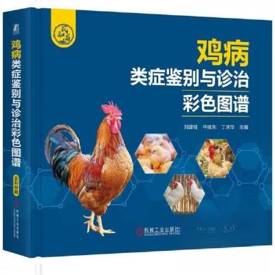 正版新书]鸡病类症鉴别与诊治彩色图谱 刘建柱刘建柱牛绪东丁庆