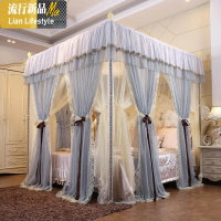 公主风宫廷蚊帐1.8m床双人家用加密加厚双层落地1.5三开式纹帐 三维工匠