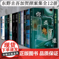东野圭吾恶意系列全集12册你杀了谁毕业沉睡的森林新参者祈祷落幕时只差一个谎言希望之线 架空犯加贺悬疑推理白夜行嫌疑人X的