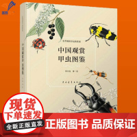 正版中国观赏甲虫图鉴李文柱著科普读物生物世现代科学绘画展现甲虫臂金龟科全部采用西方水彩色及传统中国画法完成中国青年社