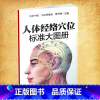 人体经络穴位标准大图册 [正版] 人体经络穴位标准大图册超清晰人体经络穴位图解书人体穴位图解大全中医按摩经络穴位书籍经络