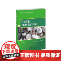 白灵菇实用生产技术 食用菌种植栽培 菌类种植书籍 白灵菇病虫害管理保鲜加工栽培 菌种生产保藏 菇类种植 菇菇栽培
