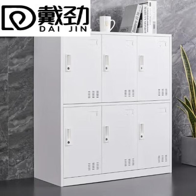 戴劲物柜多门更衣柜带锁工具柜教室学生书包柜多格子收纳柜 纯白六门