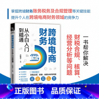 [正版]跨境电商财务从小白入门到精通 许艳芳 著 跨境电商财务从业指导书 尽快上手跨境电商财务岗 书店图书