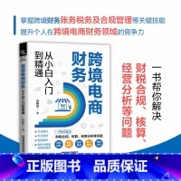 [正版]跨境电商财务从小白入门到精通 许艳芳 著 跨境电商财务从业指导书 尽快上手跨境电商财务岗 书店图书