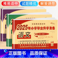 小学毕业升学卷·语数英-3本套 小学升初中 [正版]2025小升初试卷真题卷语文数学英语必刷题人教版小学毕业系统总复习资